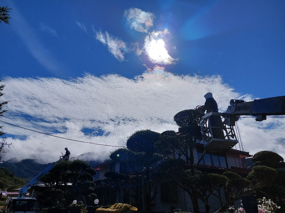 富士河口湖町造園工事、剪定　🤍わたじょう造園🤍　素敵な秋空の下スタート