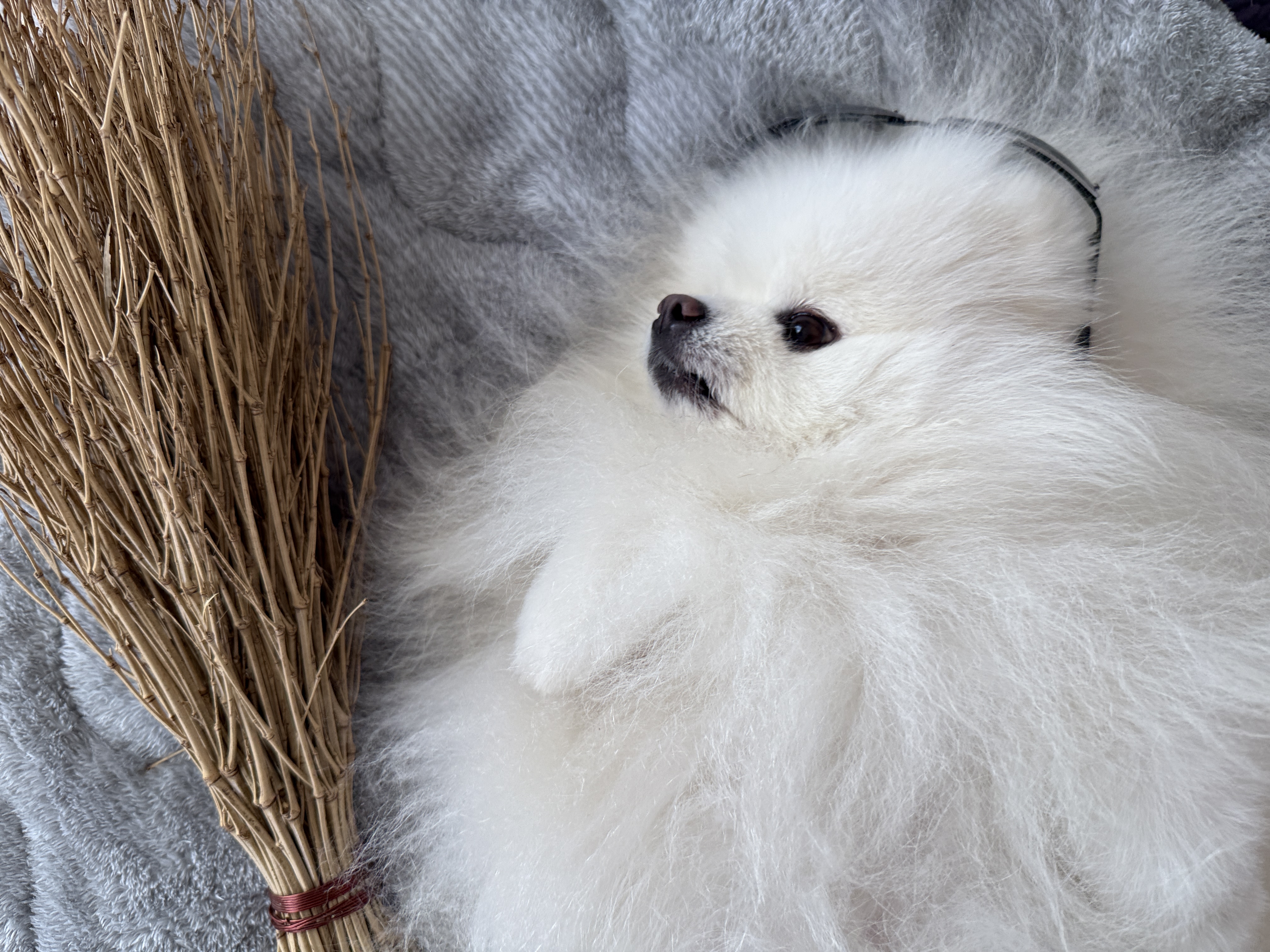 日々　順調に素敵な空間お届け中❗️いつもありがとうございます。（山中湖造園　河口湖造園　鳴沢造園　富士桜高原造園　丸紅造園　山梨県造園　）