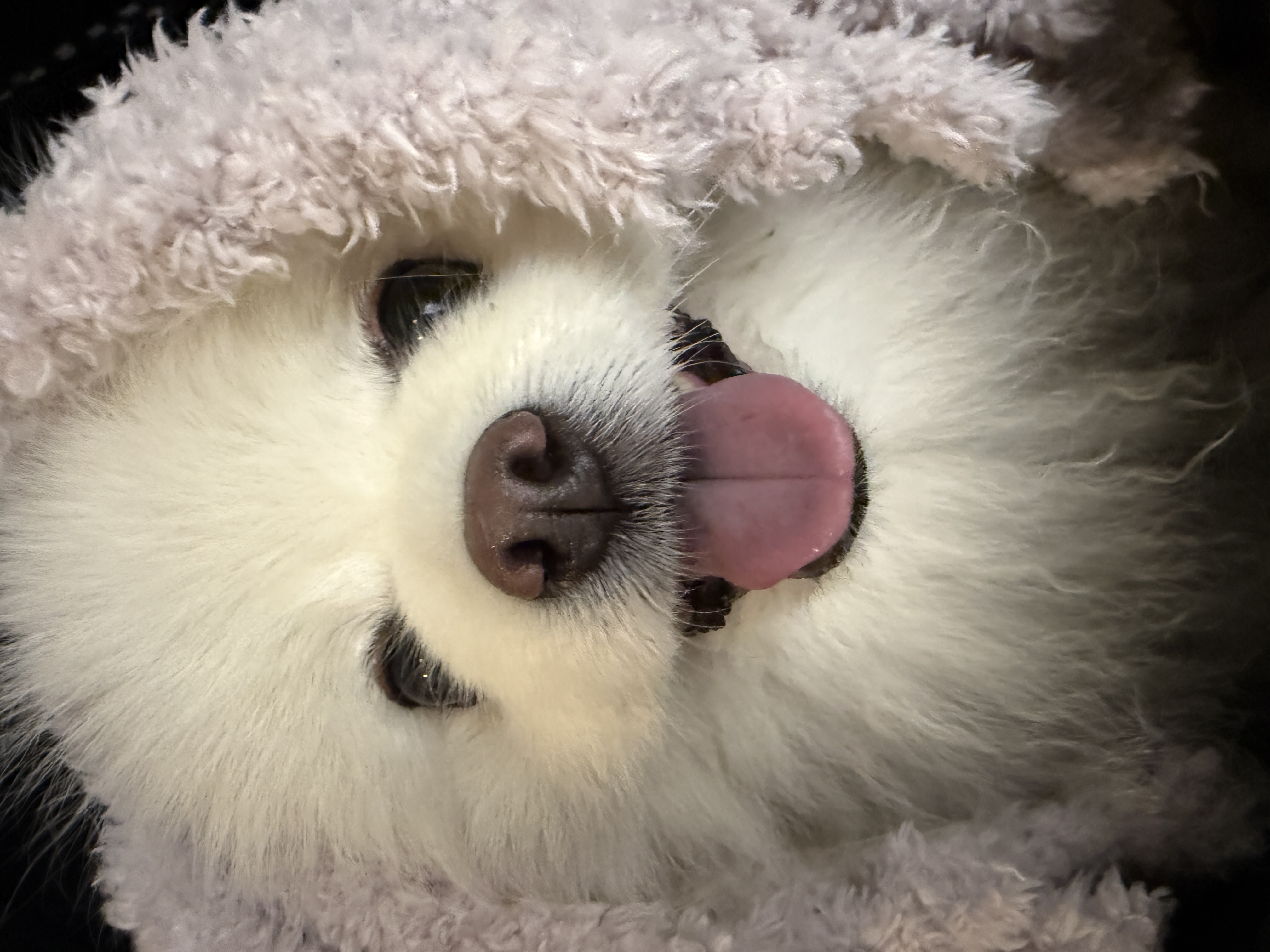 今月から今まで以上に忙しくなりました。　植物好きな方　庭仕事に興味ある方　一緒に働きませんか❓　明日から　正社員　アルバイト　パート　募集致します。