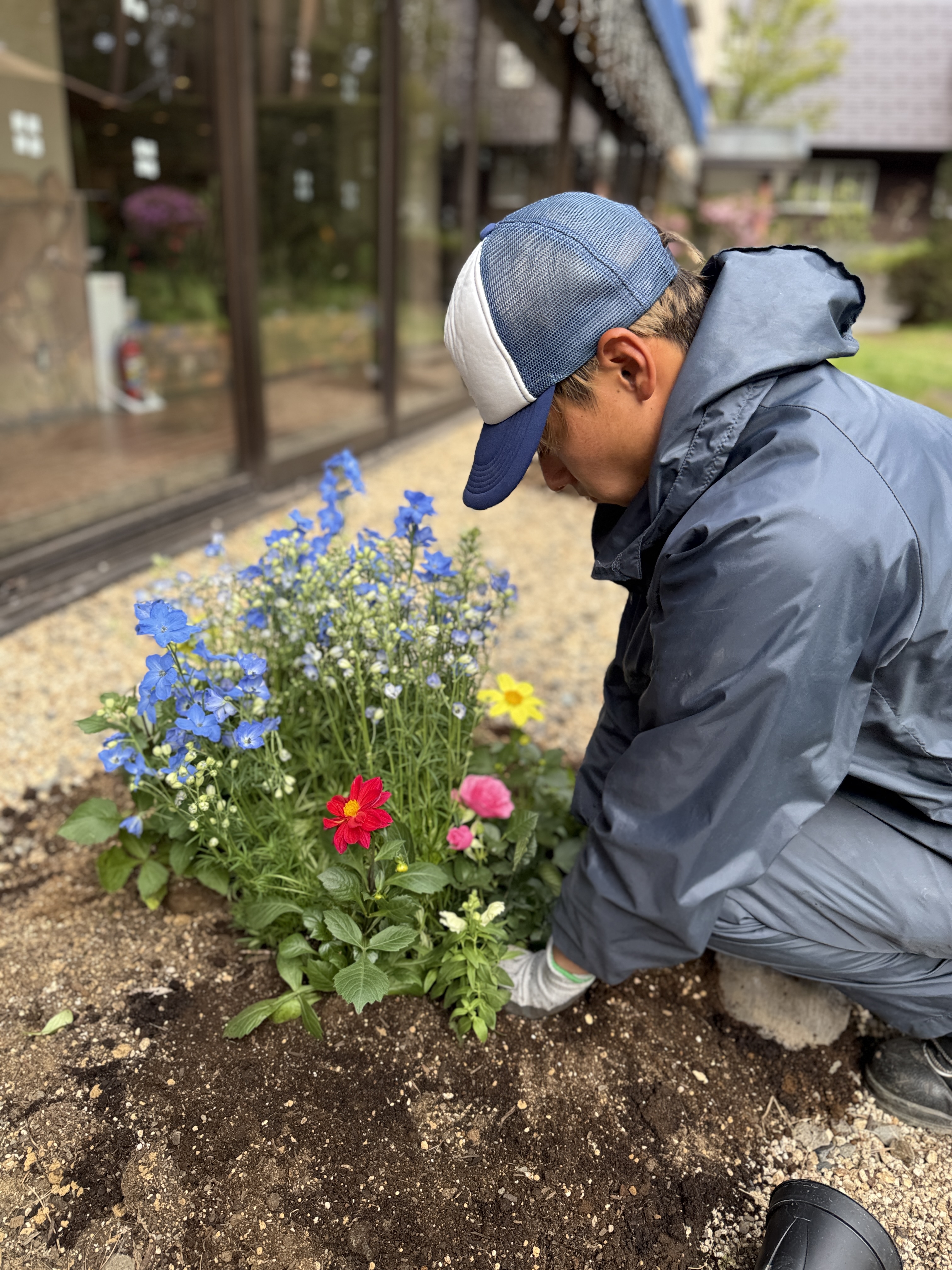 お花　観葉植物　多肉植物　販売中　まもなく注文受付終了　（富士吉田市　花屋　植木屋　わたじょう造園）