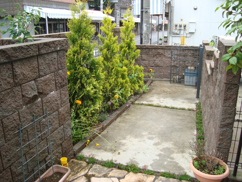 玄関付近いろいろ植栽 玄関付近いろいろ植栽