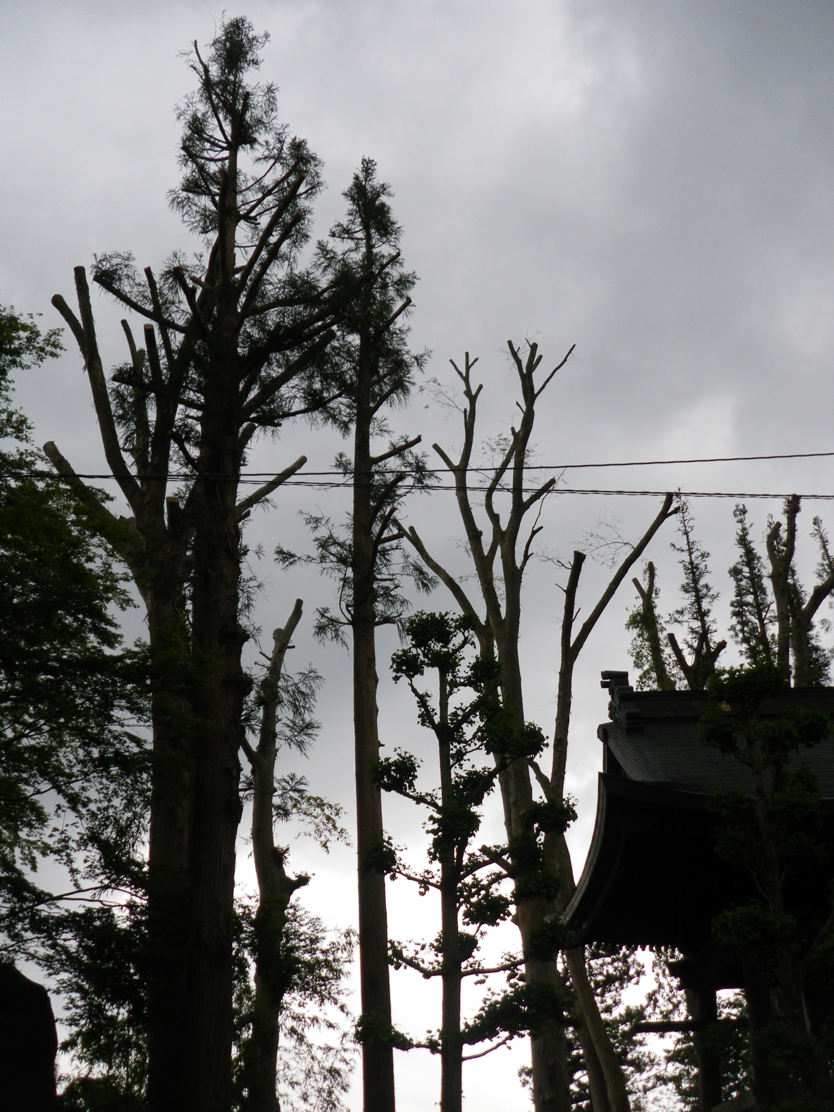 近隣住民の暮らしの為 IN 妙法寺（富士河口湖町） 渡城造園 山梨県富士吉田市の造園業[造園コンサルタント 設計 施工